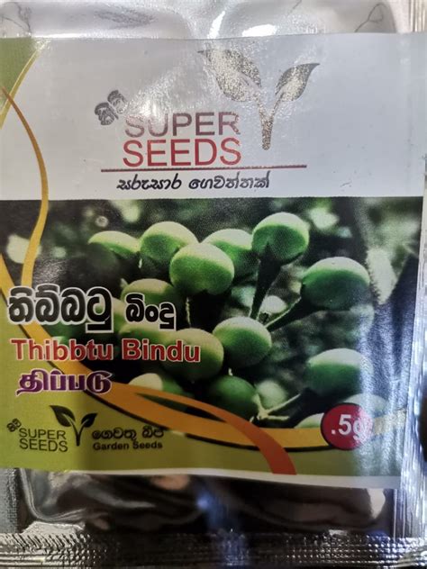 Thai Pea Eggplant Seeds Turkey Berry Pea Eggplant Organic Seeds For