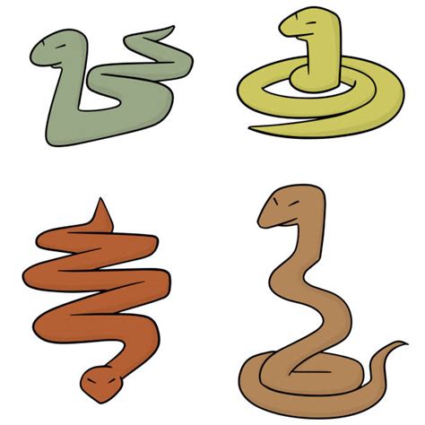 100 Snake Fangs Clip Art Illustrations Royalty Free Vector Graphics
