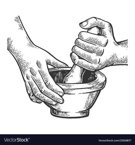 Mortar And Pestle Engraving Royalty Free Vector Image