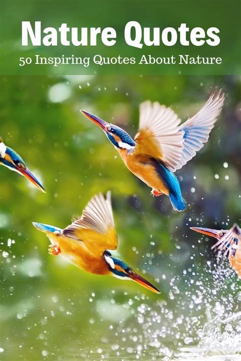 Best Nature Quotes - Inspirational sayings and quotes ...