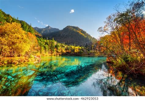 Amazing View Five Flower Lake Multicolored Stock Photo Edit Now 462923053