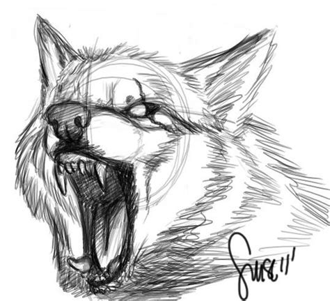 Wolf Growl Sketch By Werewolfsense On Deviantart