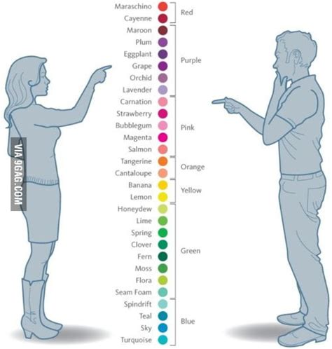 Need a name for a black with white stripes 1986 oldsmobile cutlass. Male and female color chart - 9GAG