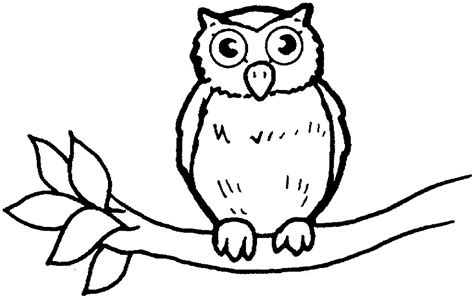 Search through 623,989 free printable colorings at getcolorings. Wild Animal Owl Bird Coloring Books to Print