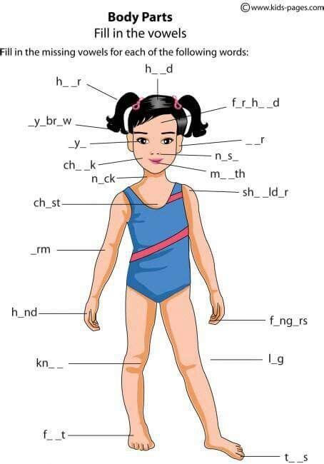 Parts Of Human Body Science For Kids Pinterest Human Body