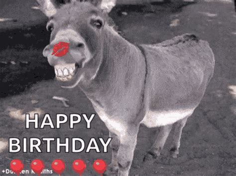 Donkey Birthday Gifs Tenor