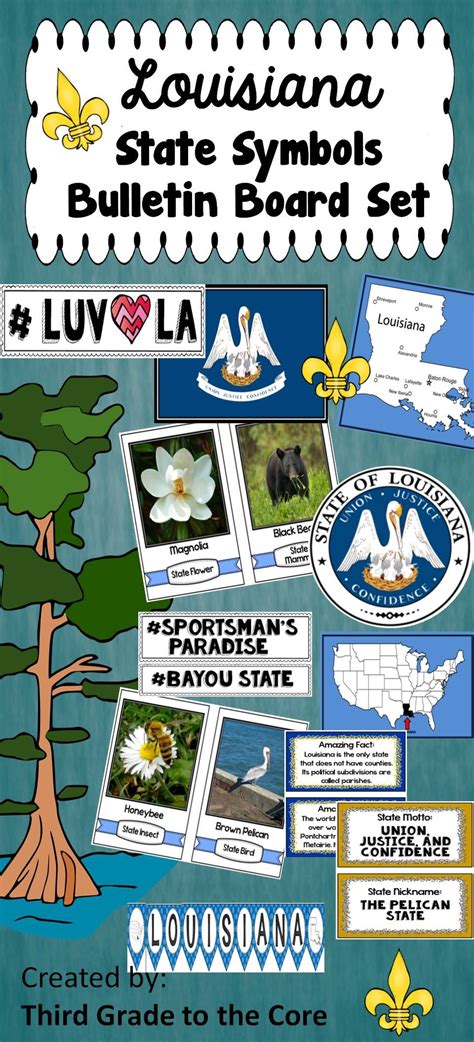 Louisiana State Symbols Bulletin Board Set Makes A Great Educational