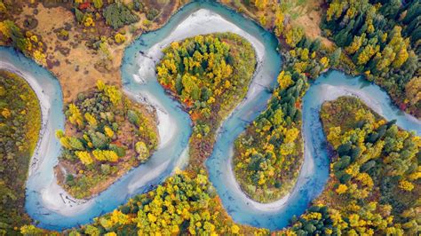 Aerial View Of River In Forest During Fall Hd Nature Wallpapers Hd