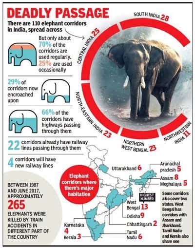 Top 51 + State animal of karnataka kerala jharkhand