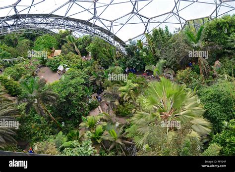 Inside The Eden Project Tropical Forest Biodome Birds Eye View Looking