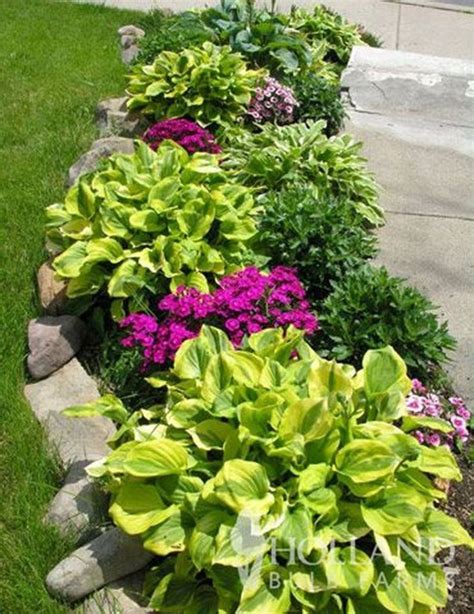 20 Inexpensive Front Yard Landscaping Ideas Home