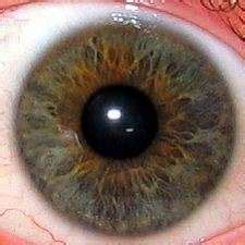 L'été, nos yeux sont mis à rude épreuve. La douleur se lit dans les yeux