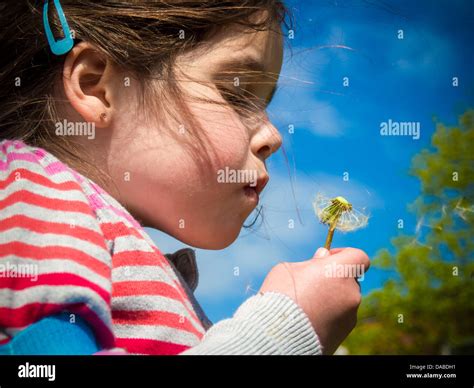 Child Blowing Dandelion Seeds Hi Res Stock Photography And Images Alamy