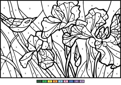 Adult And Advanced Color By Number Free Printable Coloring Pages For Kids