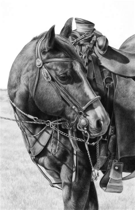 Horse Drawing Equestrian Art Equine Art Horses