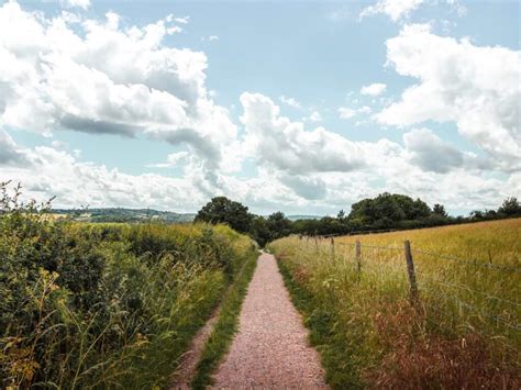 The Ashridge Drovers Walk A Circular Walk In The Chilterns She