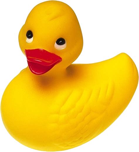 Rubber duck - PNG image with transparent background | Free Png Images png image