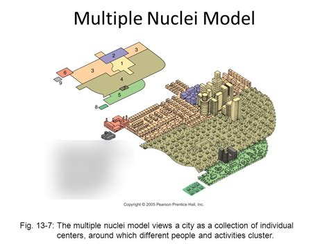 Multiple Nuclei Model Diagram Quizlet