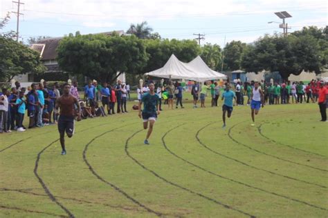Track And Field Athletics Jamaica College