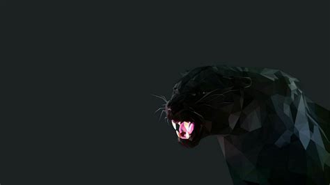 Panther Wallpapers Wallpaper Cave