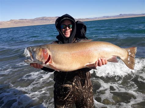 The Biggest Trout Of All Time Outdoor Life
