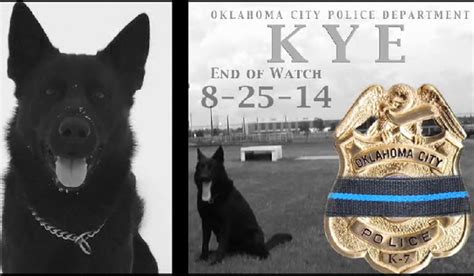 Police Dog Killed In Line Of Duty Receives Funeral With Full Honors