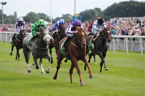 York Celebrates Staging The Best Horse Race In The World York Racecourse