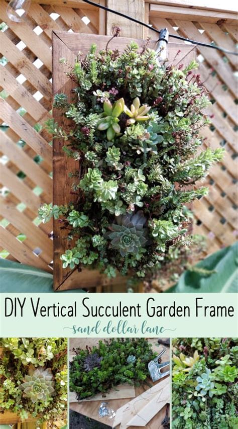 How To Build A Vertical Succulent Garden Sand Dollar Lane