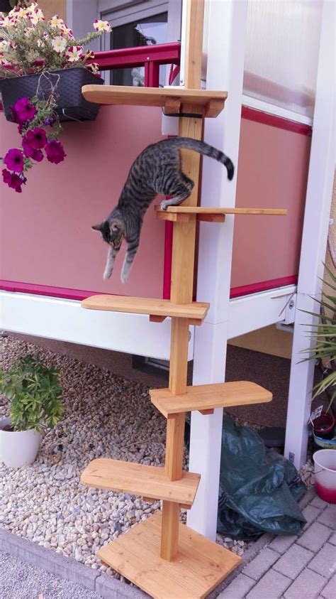 Maybe you would like to learn more about one of these? Katzentreppe EMMA aus Douglasie Massivholz | Katzen treppe ...