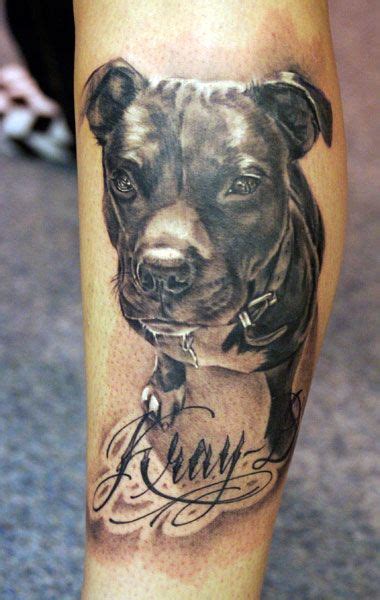 20 Best Pit Bull Tattoo Designs