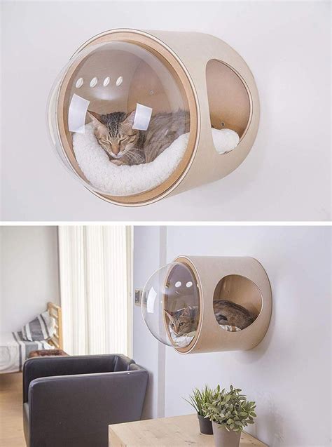 Myzoo Have Created The Spaceship Series A Line Of Fun And Modern Cat
