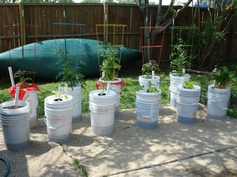 Diy Self Watering Planter 5 Gallon Bucket Build Your Own Self