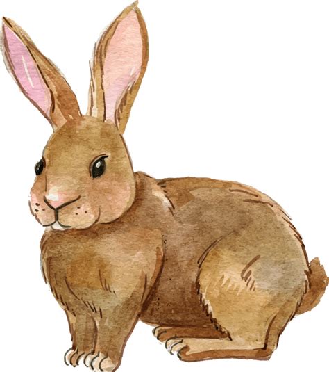 Hares Png Free Download Png Mart