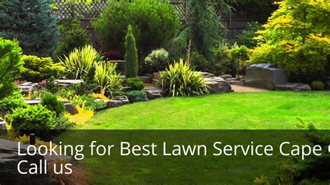 986 likes · 6 talking about this · 134 were here. Best Lawn Service Cape Coral FL - YouTube