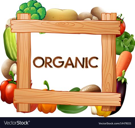 Frame Template With Fresh Vegetables Royalty Free Vector