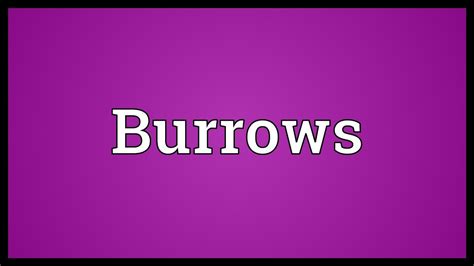 Burrows Meaning Youtube