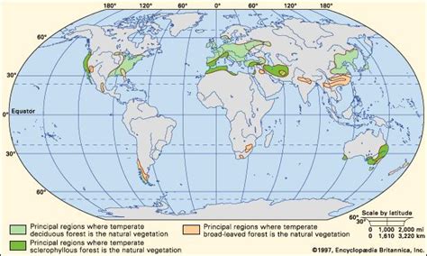 Ii.location of tropical rainforest biome. temperate deciduous forest | ecology | Britannica.com