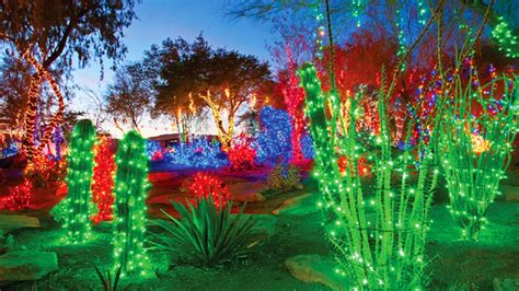 That's right, chocolate and holiday lights! Holiday Limo Service to Ethel M Chocolates Holiday Cactus ...