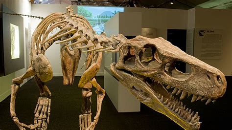 10 Primitive Facts About Herrerasaurus Mental Floss