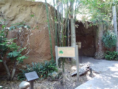 Hidden Jungle Cave Entrance Zoochat