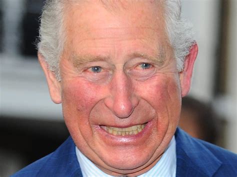 Prince Charles portrait unveiled at Australia House | Adelaide Now
