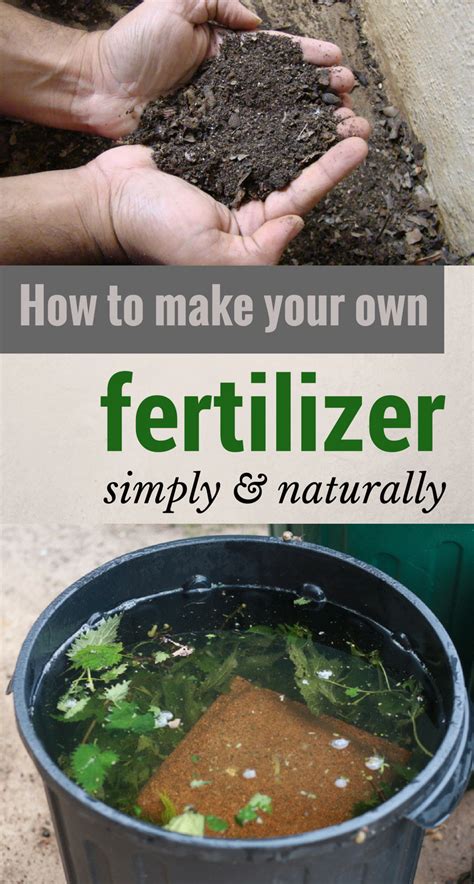 How To Make Your Own Fertilizer Simply And Naturally