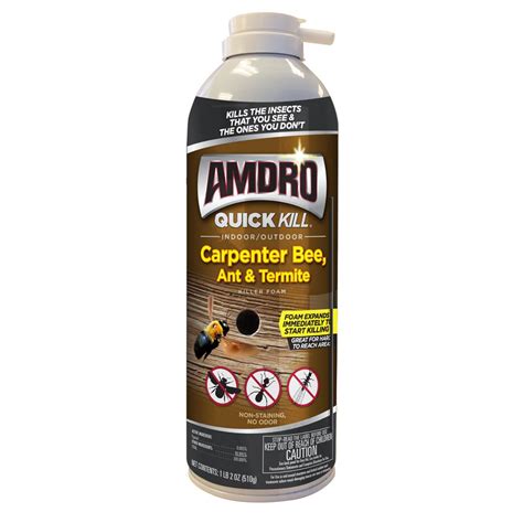 Amdro Quick Kill 18 Oz Carpenter Bee Killer Foam 100530435 The Home