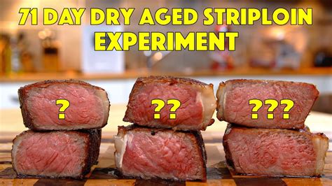 Insane 71 Day Dry Aged Steak Experiment Cook Off Glen And Friends Cooking Reverse Sear Steak