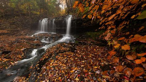 Waterfalls And Fallen Leaves From Trees During Fall 4k 5k Hd Nature
