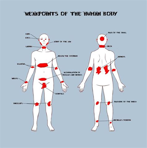 Pressure Points Are Specific Sensitive Points Or Areas That Can Be Tapped For Many Uses