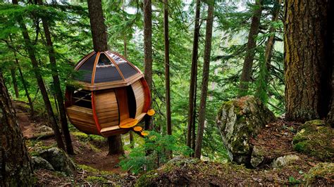 Architecture House Nature Trees Branch Forest Wood Sphere Rock