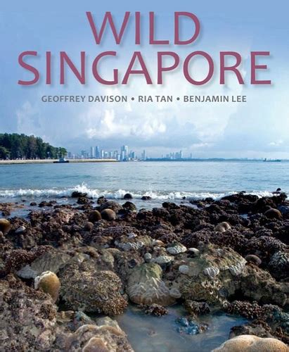 Wild Shores Of Singapore Wild Singapore Book On Sale From Today