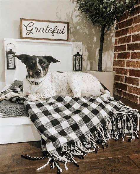 Shanty 2 Chic Farmhouse Dog Bed Gamma Wadan Sinhala