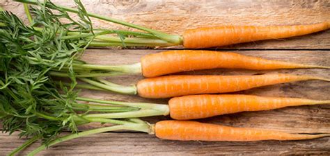 3) pompelmo e' uno dei cibi antiossianti più ricchi di vitamina c. Depurare il fegato? Gli alimenti per purificarsi e ...